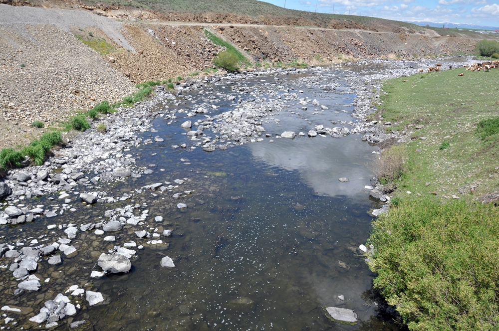 Kars Çayı’nda sular çekildi, balıklar mahsur kaldı