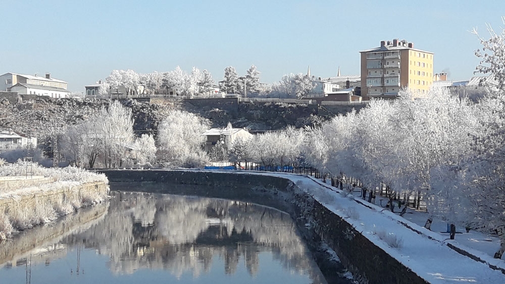 Kars Eksi 12Yi Gördü, Ağaçlarda Kırağı Oluştu