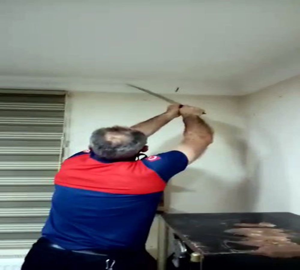 Kartonpiyerin arasından 2 yılan çıktı