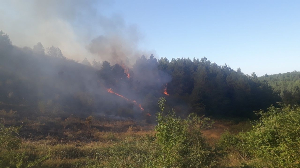 Kastamonu’da ormanlık alanda çıkan yangın rüzgar nedeniyle kontrol altına alınamıyor