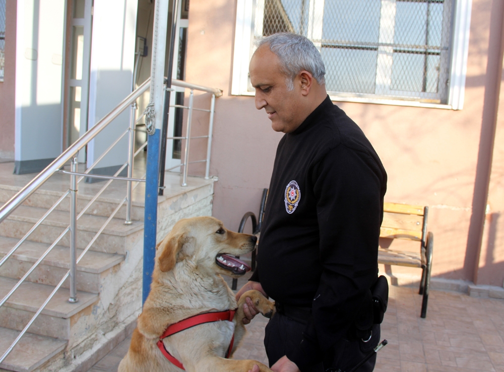 Kaybolan köpek karakola sığındı