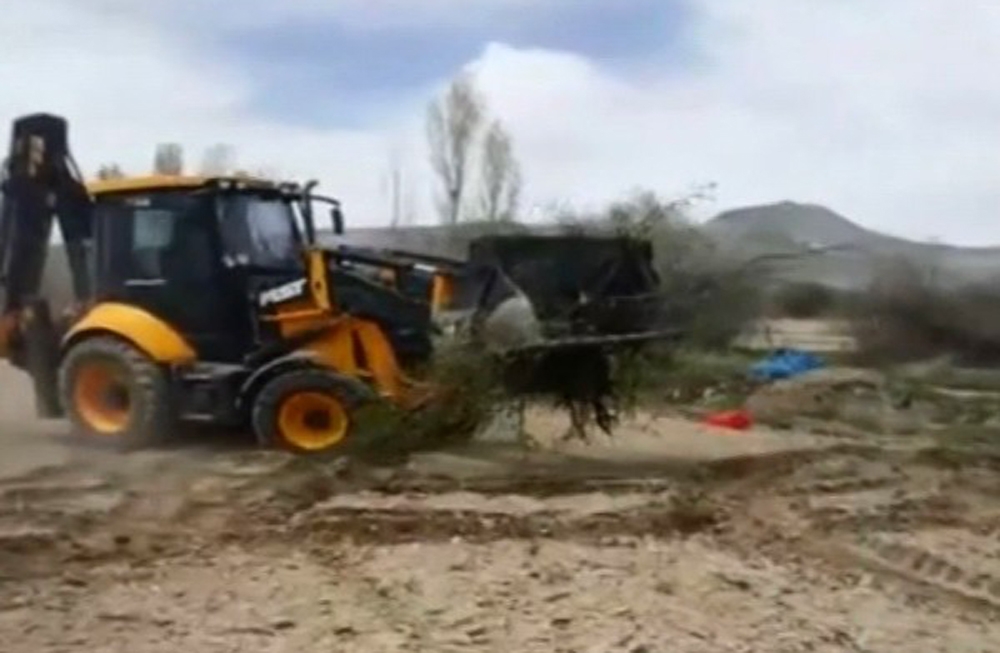Kayserili çiftçi 200 kayısı ağacını don vurunca söktürdü