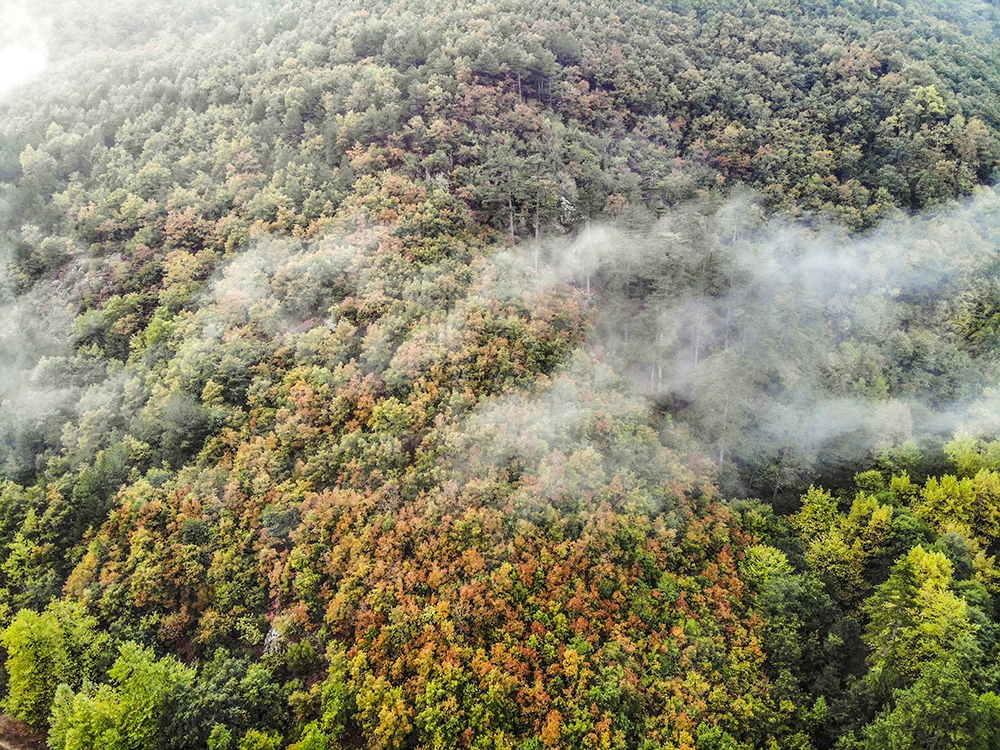 Kazdağları’nda hazan mevsiminin güzelliği büyülüyor