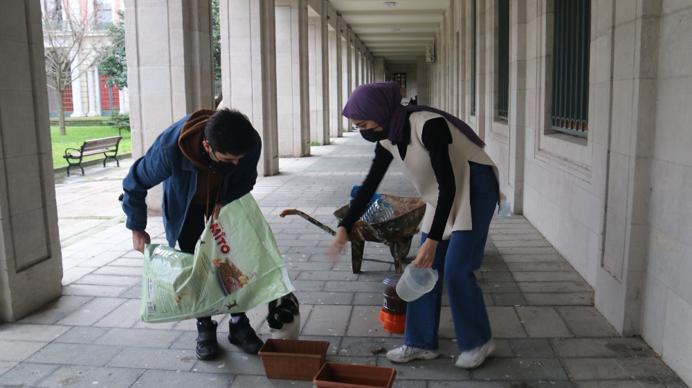 Kedi sevgisi öğrencileri 40 bin TL borca soktu