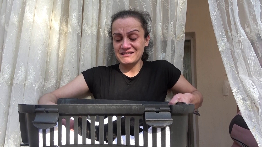 Kedisinin zehirlendiğini öğrenince gözyaşlarına boğuldu