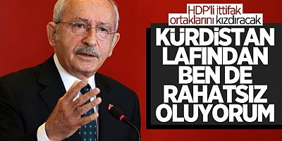 Kemal Kılıçdaroğlu: Kürdistan lafından ben de rahatsız oluyorum   