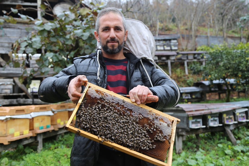 Kestane Balı Tam Bir Şifa Deposu