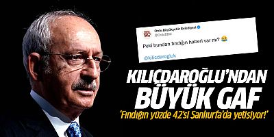 Kılıçdaroğlu'ndan büyük gaf: Fındığın yüzde 42'si Şanlıurfa'da yetişiyor!