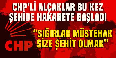 Kılıçdaroğlu'nun seçmeni depremzedelerden sonra şehide de küfretti: Size müstahak