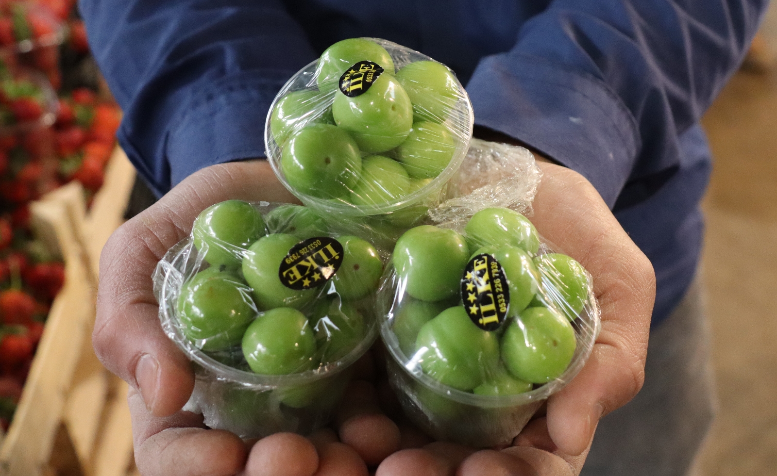 Kilosu 20 TL’den satılan erik vatandaşı memnun etti