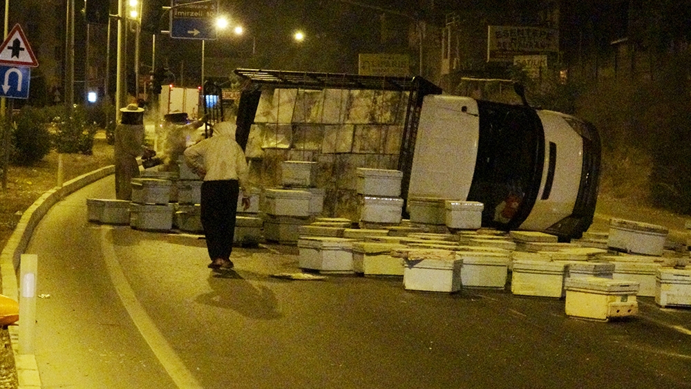 Kızgın arılar ve kovanlar yolu trafiğe kapadı