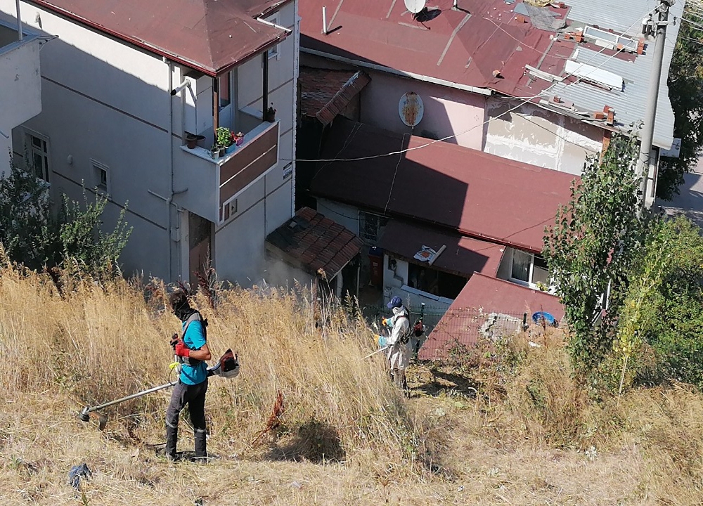 Kocaeli’de evleri akrep ve yılanlar bastı