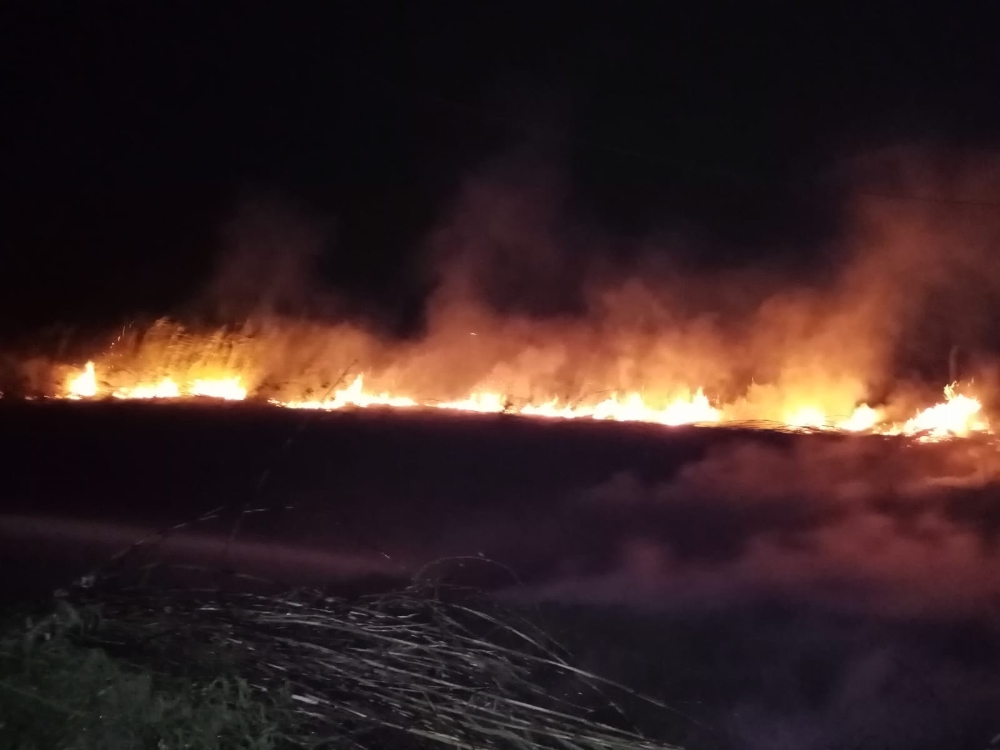 Kopan elektrik telleri bahçede yangın çıkardı