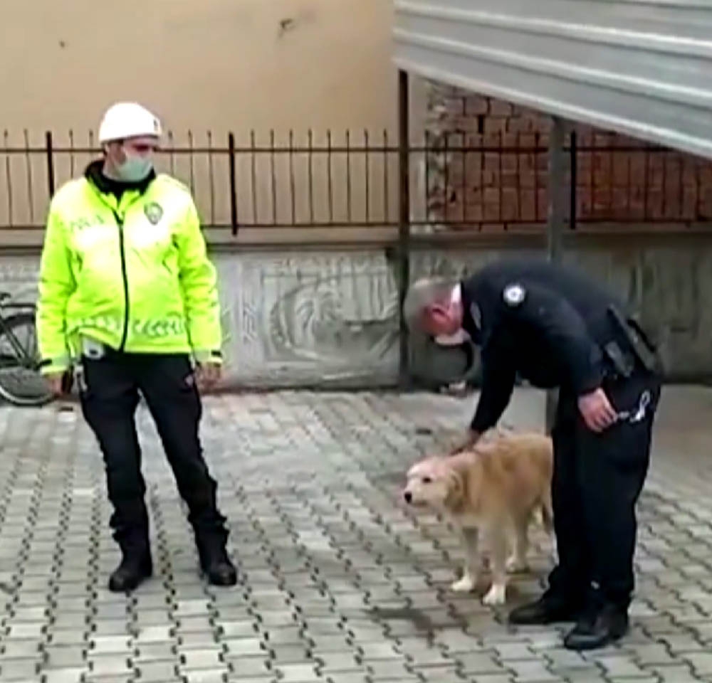 Köpeği döven şahıs polis tarafından yakalandı