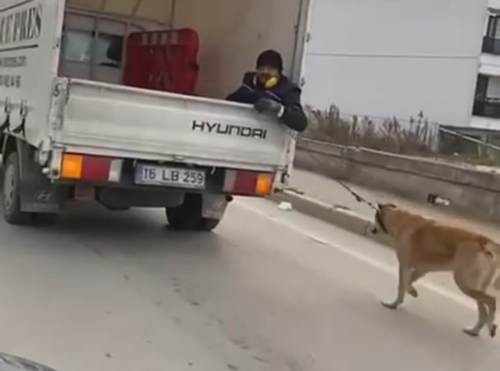 Köpeği kamyonetin arkasında sürükledi