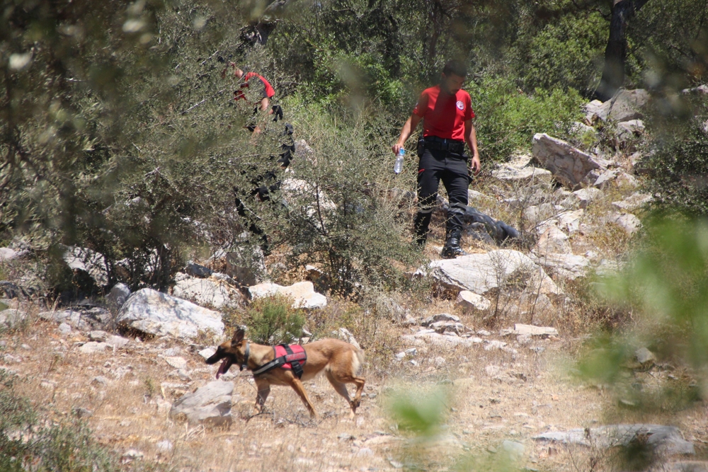 Köpeğin getirdiği insan kafatası polisi alarma geçirdi
