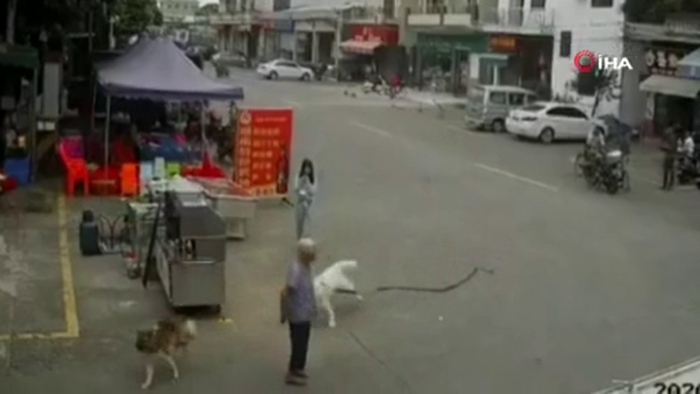 Köpek tasması ayağına takılıp düşen yaşlı kadın öldü