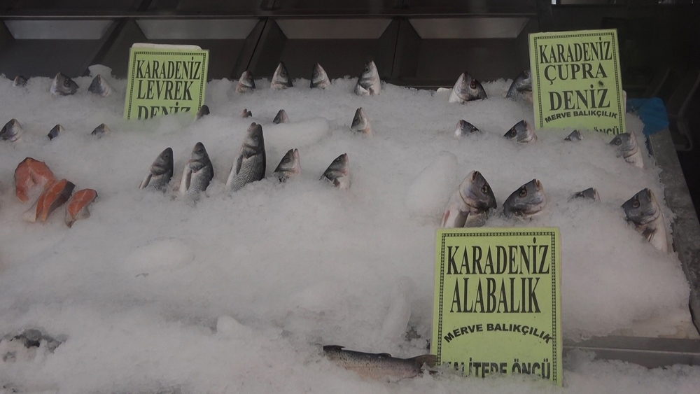 Korona virüs balık satışlarını artırdı, en çok levrek ve çipura tüketiliyor