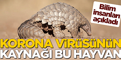 Korona virüsünün kaynağı açıklandı! 