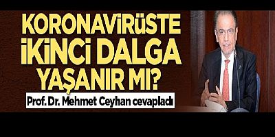 Koronavirüste ikinci dalga yaşanır mı? Prof. Dr. Mehmet Ceyhan cevapladı