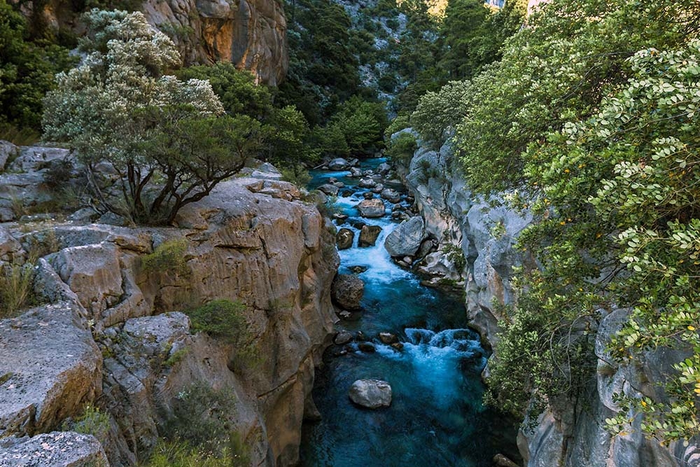 Korunan alanlar yeniden hizmete açılıyor