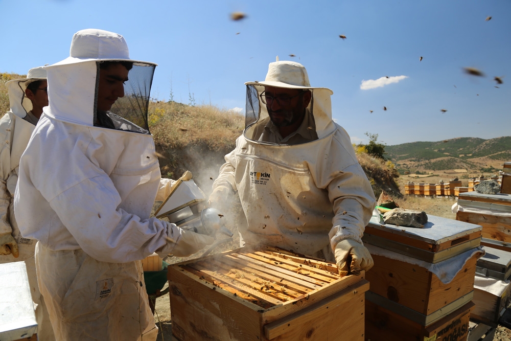 Köy hayatını seçti, markalaşan hobisi ile Avrupa’ya bal ihracatına geçti