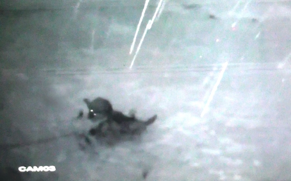 Köye inen kurt sürüsü köpeği parçaladı, o anlar kameraya yansıdı