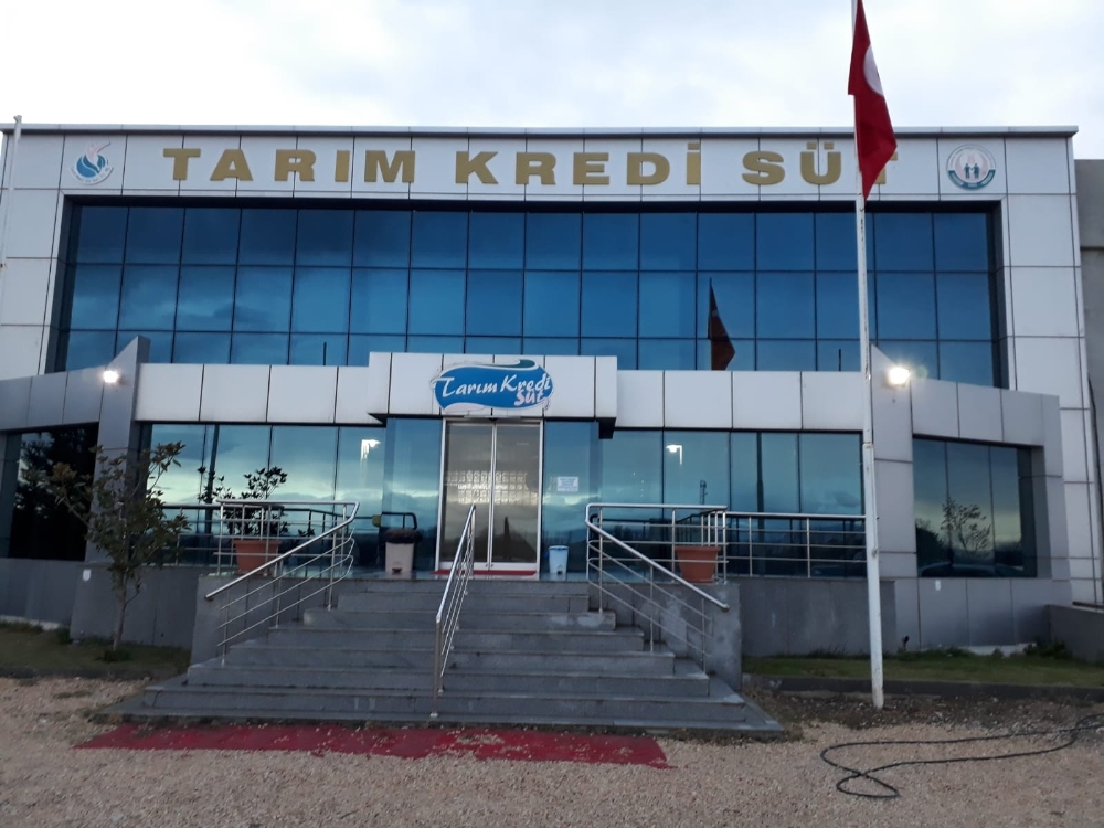 Koyun Ve Keçi Sütüne Rekor Fiyat