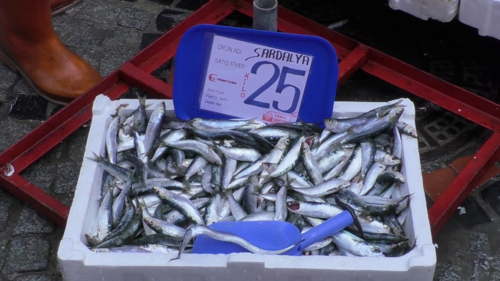 Küçük balıkların fiyatı yarı yarıya düştü