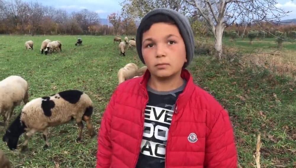 Küçük çoban videolarındaki diyalogları ile sosyal medyanın yeni fenomeni oldu