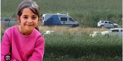 Küçük Narin'in ölümü sonrasında Türkiye'nin gündeminde idam cezası var