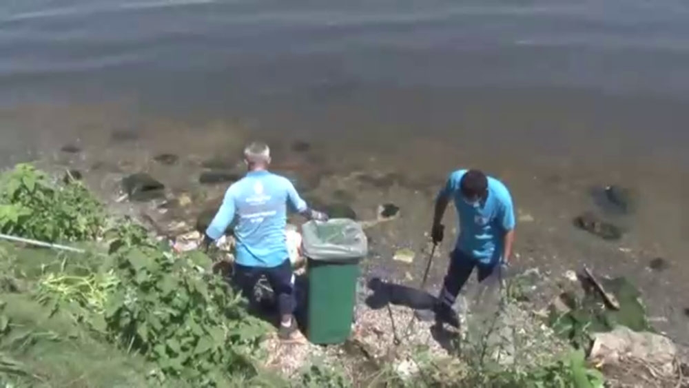 Küçükçekmece’de balık ölümleri devam ediyor