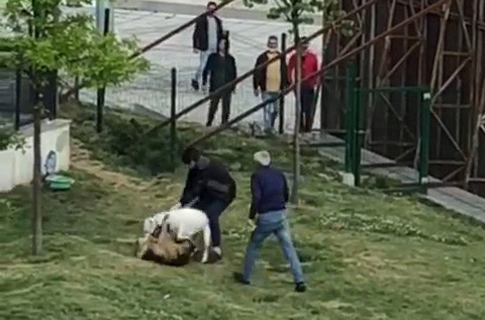 Küçükçekmece’de pitbull dehşeti