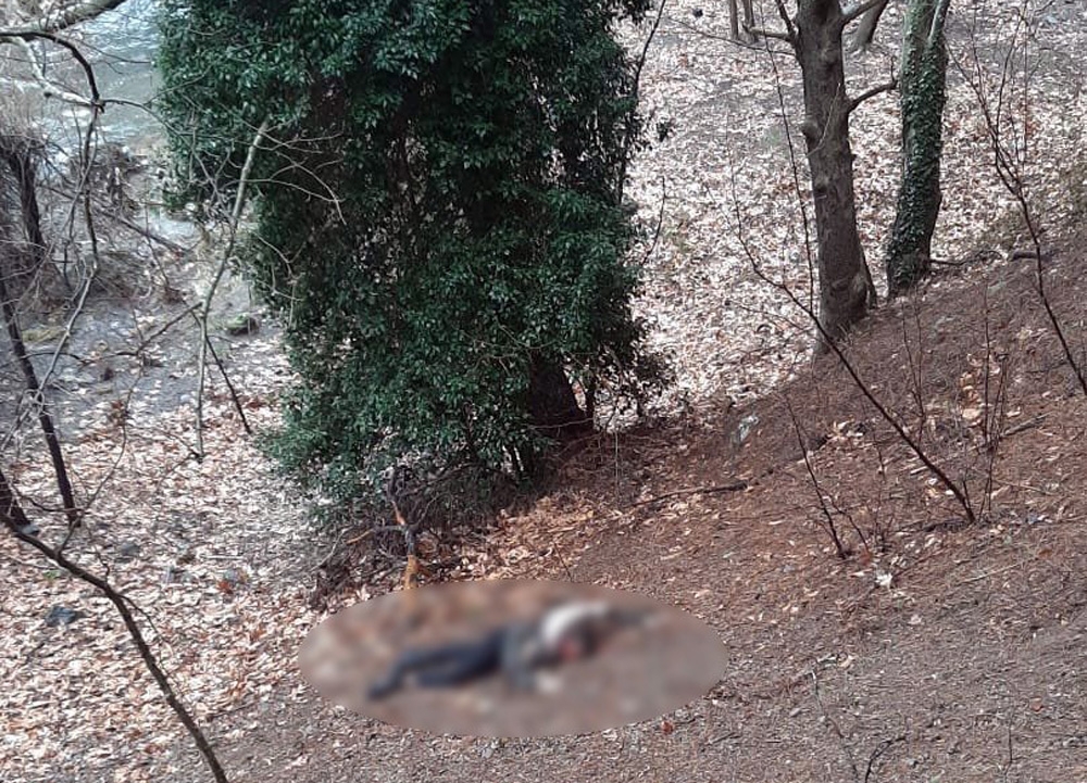 Kumalığı kabul etmeyen kadının başını taşla ezerek öldürdü