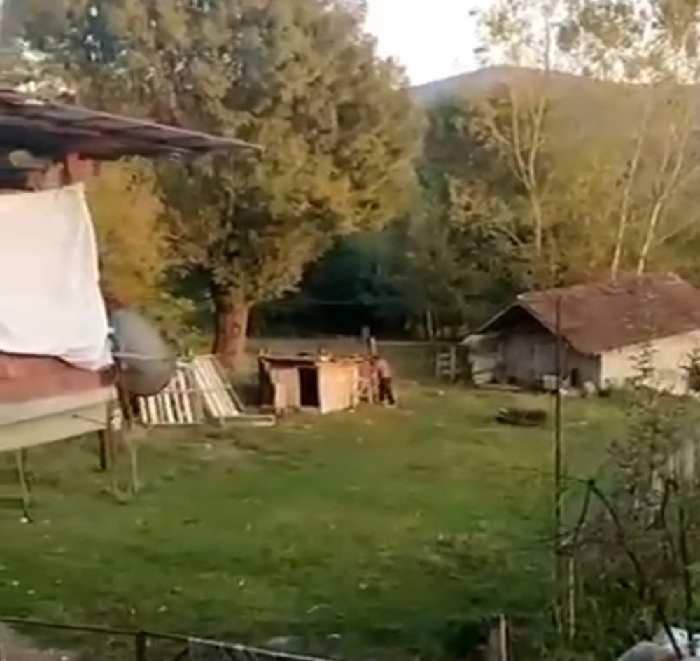 Kümese giren köpeği acımasızca dövdü