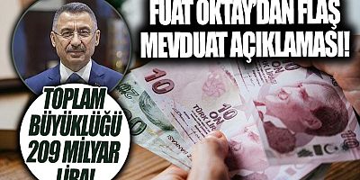 Kur korumalı TL mevduatına büyük ilgi: 209 milyar TL'yi buldu