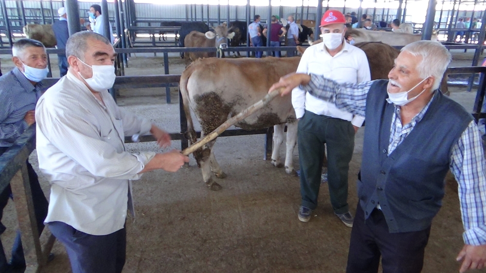 Kurban pazarlıkları artık sopayla yapılıyor