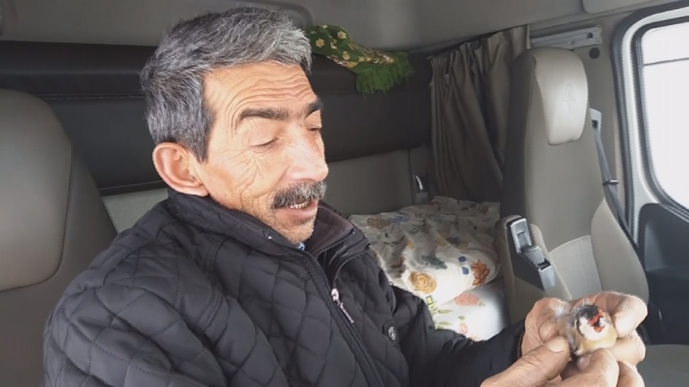 Kuş donarak ölse de yaptığı hareket yürekleri ısıttı