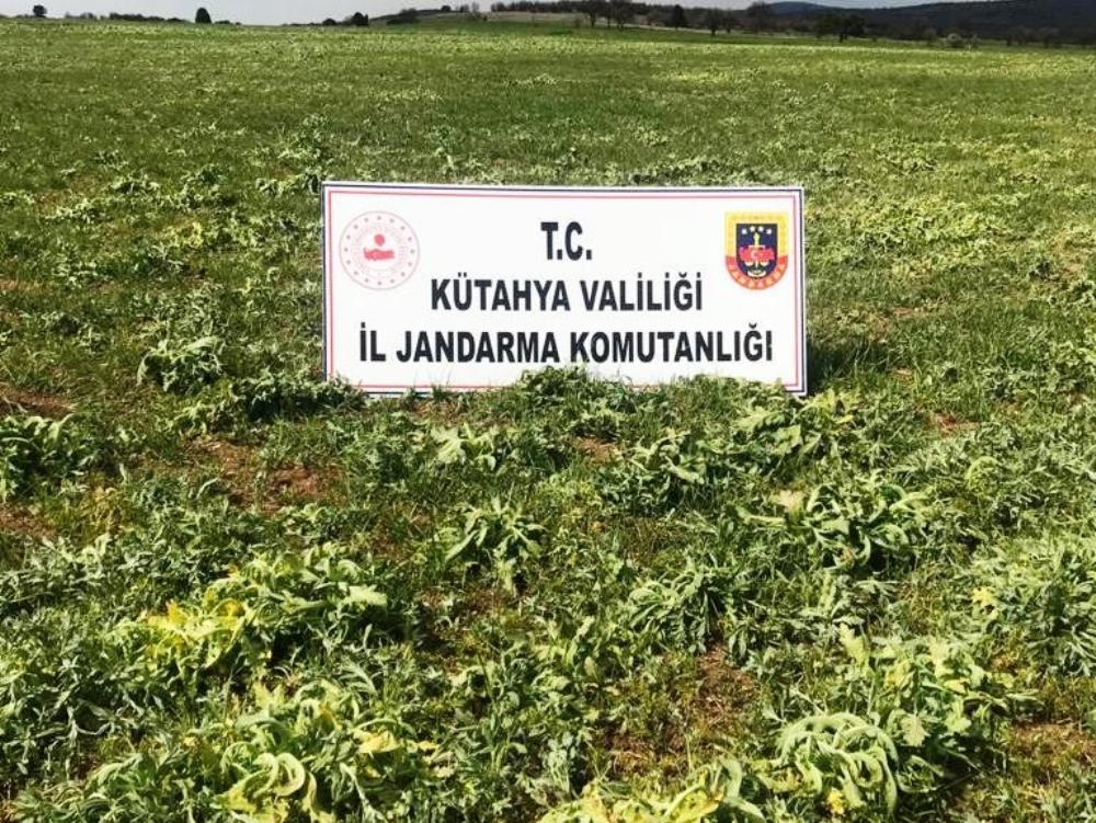 Kütahya’da bir köyde karantina uygulaması sona erdi