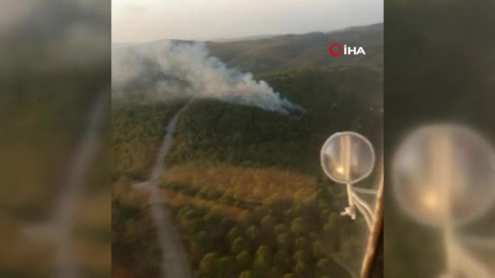 Lapseki’de orman yangını