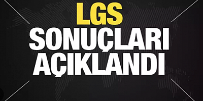 LGS sonuçları açıklandı