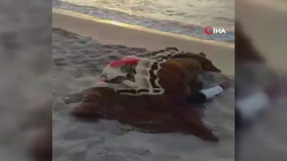 Libya açıklarındaki göçmen dramında yeni gelişme