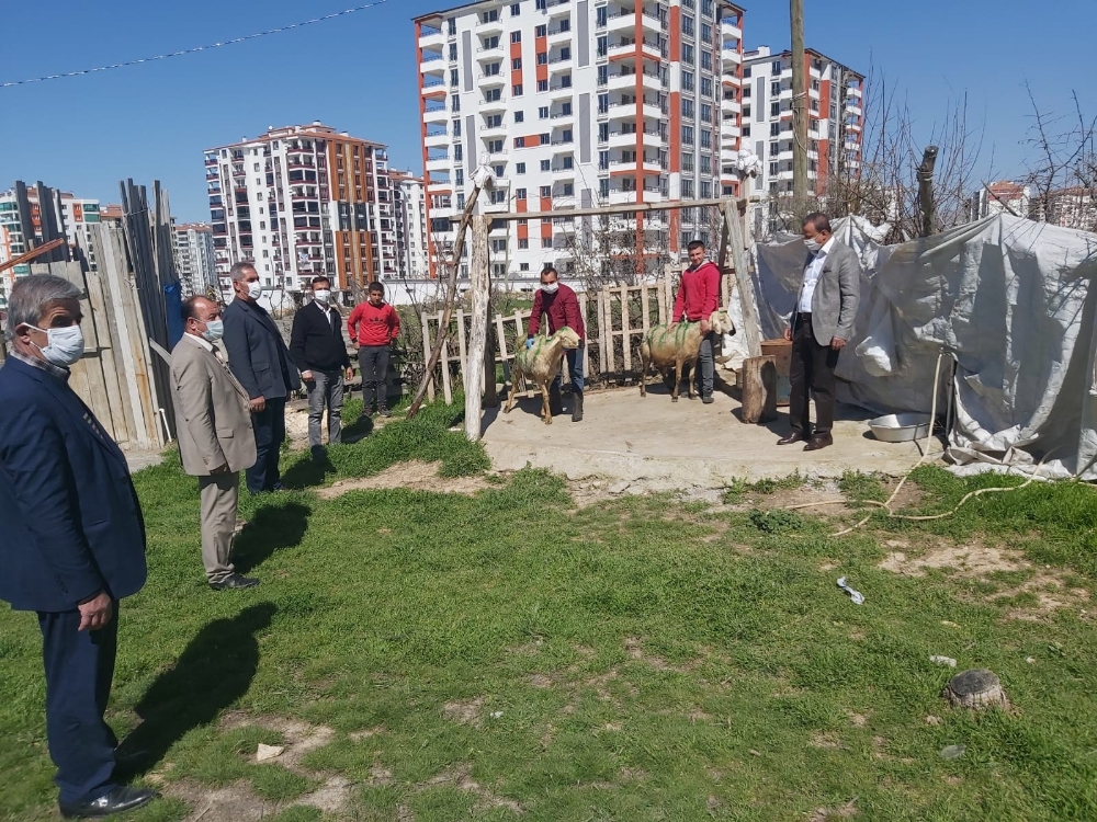 Malatya’da Bakan Soylu için koç kesildi