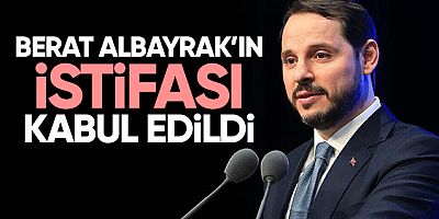 Maliye Bakanı Berat Albayrak'ın istifası kabul edildi