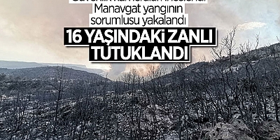 Manavgat yangınıyla ilgili bir kişi tutuklandı