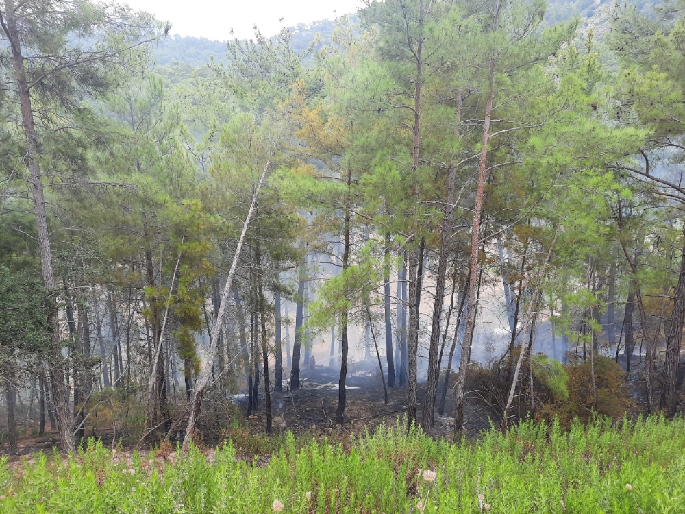 Manavgat’ta orman yangını büyümeden söndürüldü