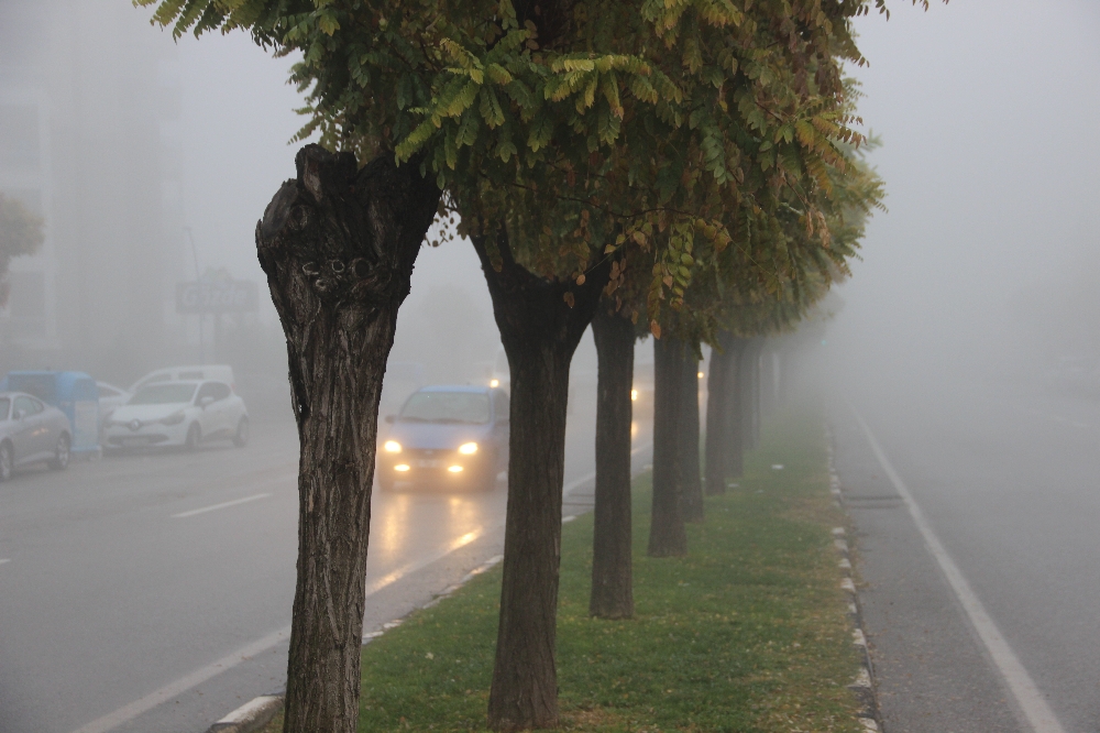 Manisa güne sisle uyandı