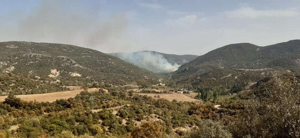 Manisa’da orman yangını