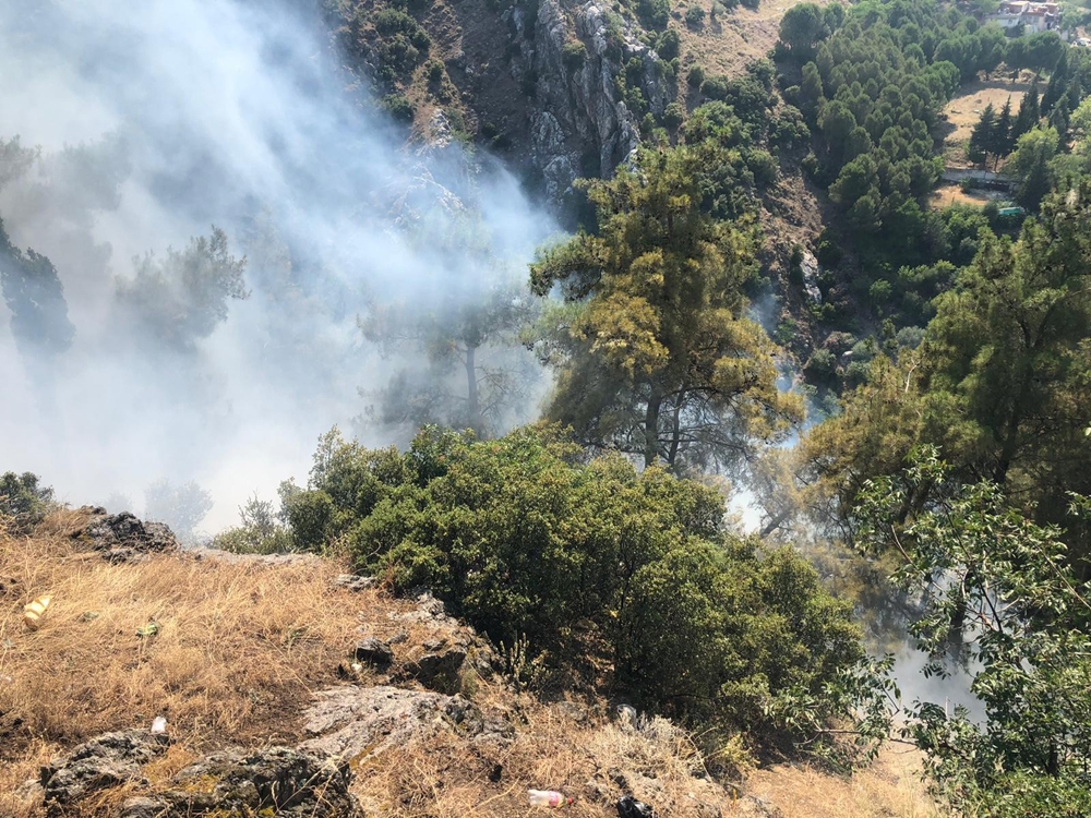 Manisa’da ormanlık alanda yangın