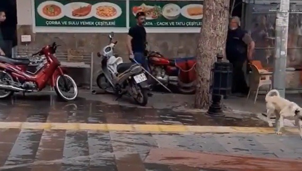 Manisa’da sokak köpeğini sopayla döven adama ceza yağdı